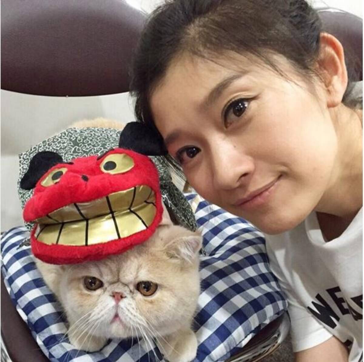 篠原涼子を猫のマッシュが訪問 オトナ女子 の ちくわ が目的