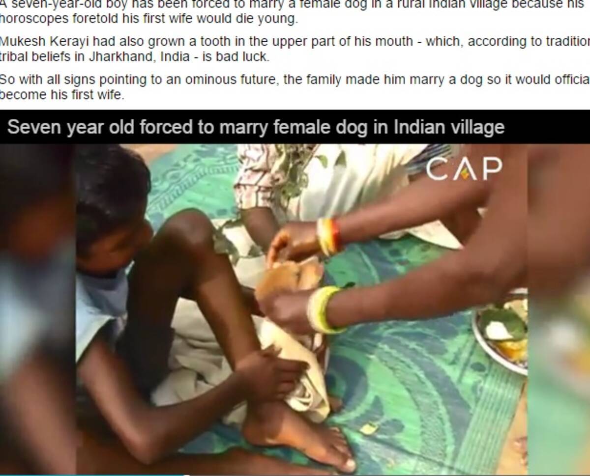 インドの7歳男児 メス犬と結婚 占い 信じる親のせいで 16年1月21日 エキサイトニュース