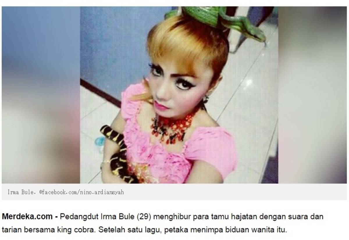 ステージで毒蛇に噛まれた女性歌手 解毒剤を断り死亡 インドネシア 16年4月8日 エキサイトニュース