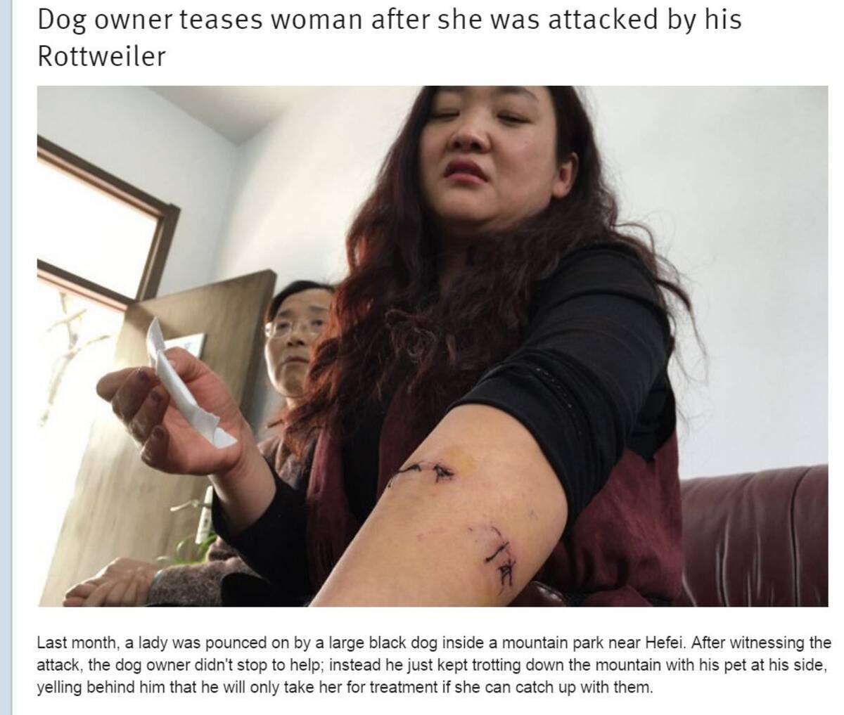 ロットワイラー犬が通行人を襲い 飼い主逃走 散歩モラルどこへ 中国 16年4月9日 エキサイトニュース