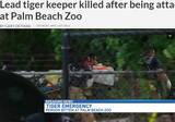 「トラ急襲で女性飼育員が失血死　フロリダ州「パームビーチ動物園」で」の画像1