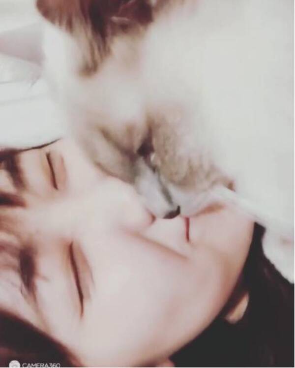 仁藤萌乃と愛猫のキスシーンに ドキドキ ズキズキ 16年5月12日 エキサイトニュース