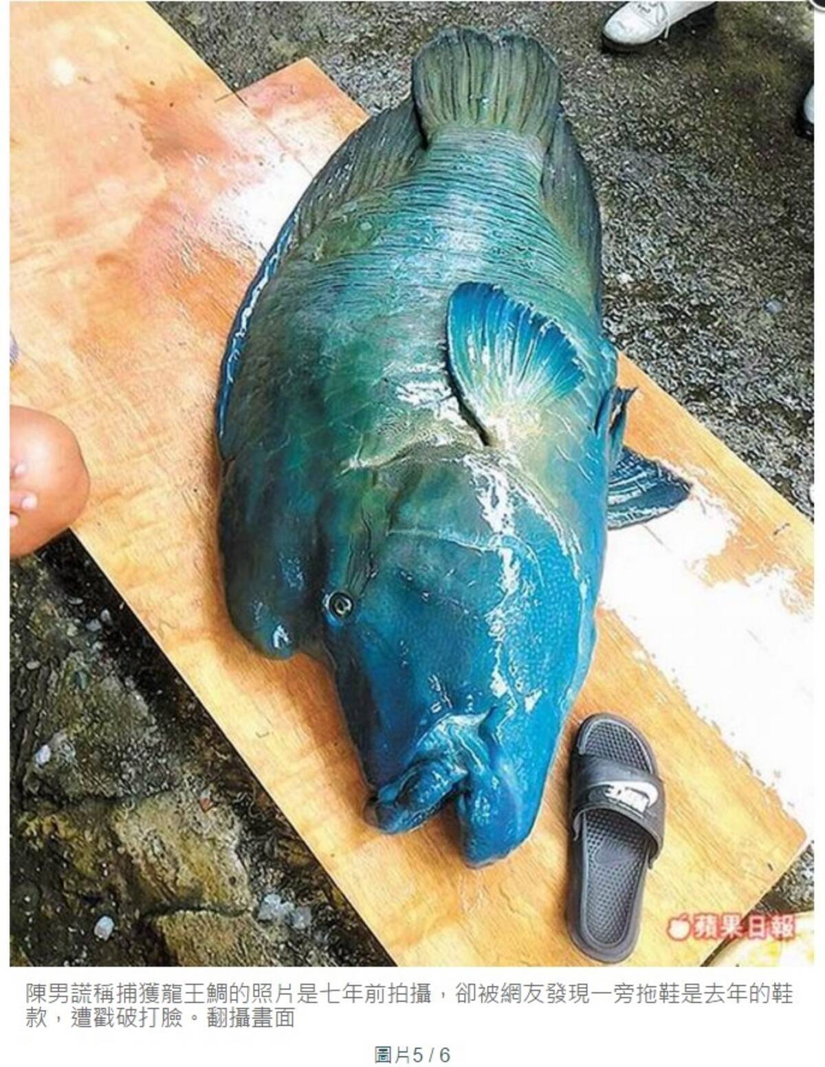 絶滅危惧種の魚が殺される ネット炎上 地元住民は落胆 台湾 16年5月24日 エキサイトニュース