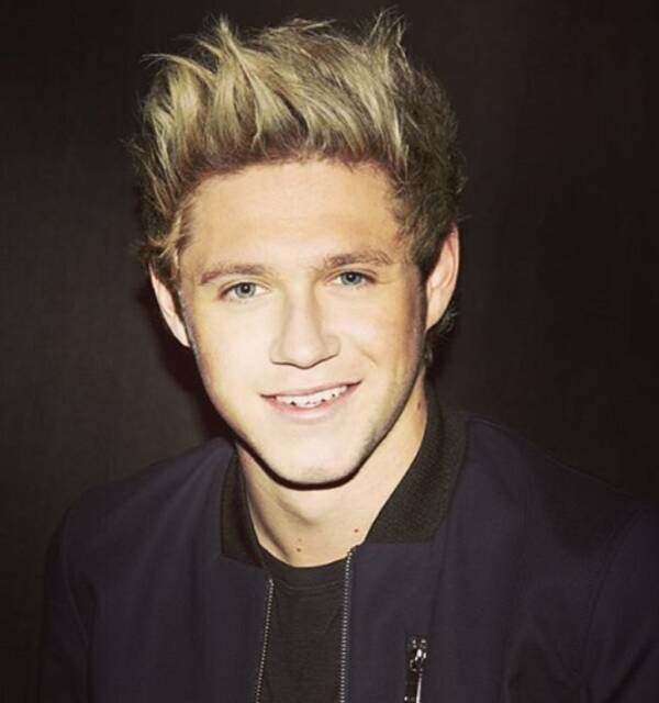 1d ナイル ホーランに新恋人出現 お相手は美しく頭脳明晰な一般人 16年7月12日 エキサイトニュース