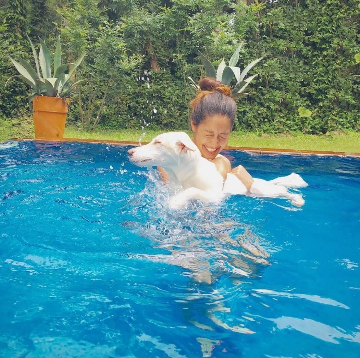 森泉 自宅プール で保護犬の水泳特訓中 16年7月23日 エキサイトニュース