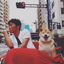 “セカオザ”小沢一敬、大人気の柴犬“まる”と浅草で人力車デート