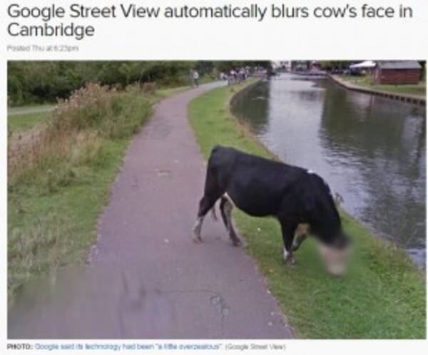 Googleストリートビューが牛の顔にモザイク G社 ちょっと頑張りすぎました とコメント 英 16年9月18日 エキサイトニュース