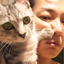板谷由夏“猫パンチ”で顔ゆがむ　まさかの癒しショットに「その顔は出しちゃダメ」