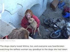 「犬たちの幸せのために…」ホームレスカップル、心の支えの犬たちを涙ながらに手放す（米）