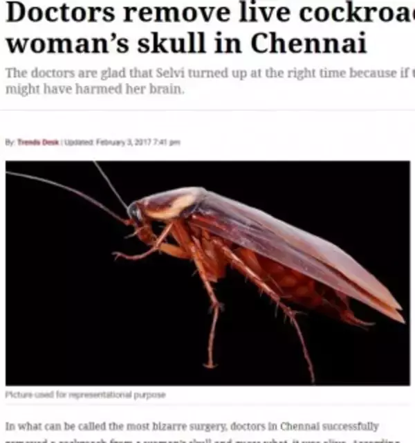 女性の頭部から生きたゴキブリが！　死んでいたら脳にダメージも…（印）