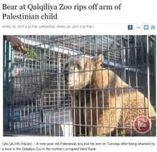 遠足で動物園に来た9歳少年、クマに腕を食べられる（パレスチナ）