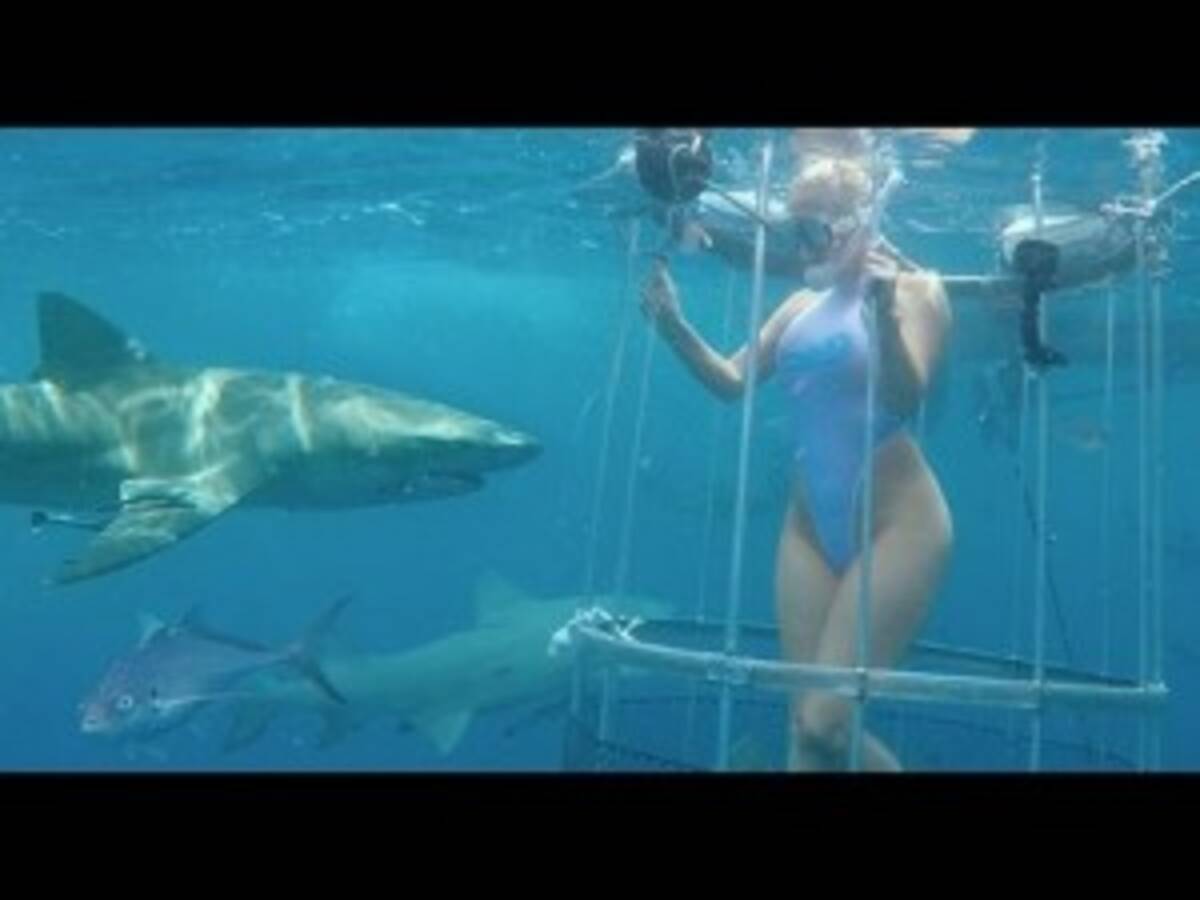 フロリダ沖での撮影で米av女優がサメに襲われる 流血映像も公開 17年5月10日 エキサイトニュース