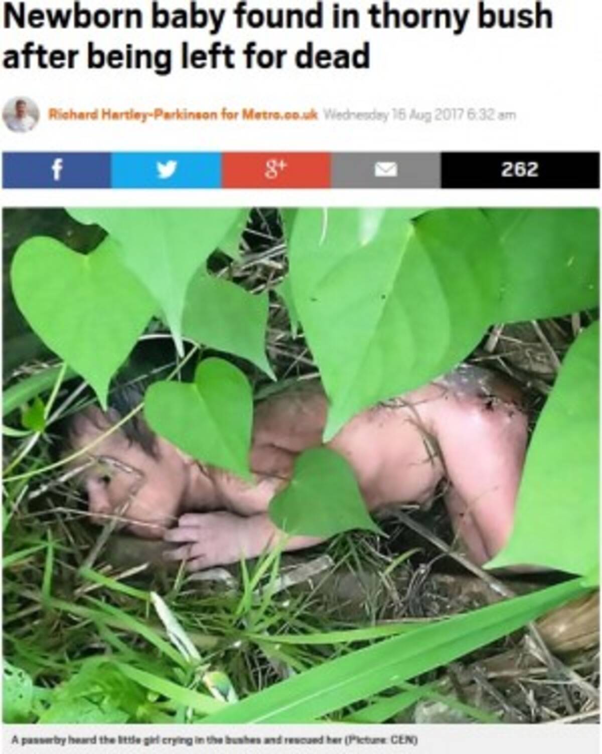 両親に捨てられた女の赤ちゃん 茂みの中で見つかる 印 17年8月18日 エキサイトニュース