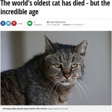 世界一高齢とされるイギリスの32歳の猫、旅立つ