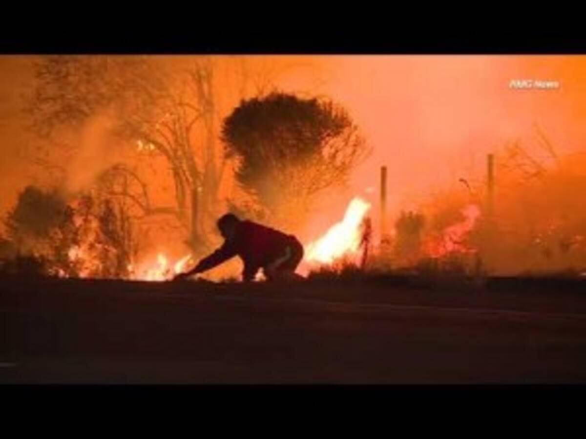米加州の山火事でウサギを救出した男性に批判殺到 動画あり 17年12月13日 エキサイトニュース
