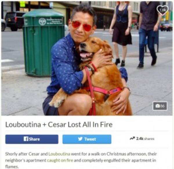 Nyマンハッタンのマスコット犬の家が火事に 犬と飼い主に寄付金続々集まる 動画あり 17年12月31日 エキサイトニュース