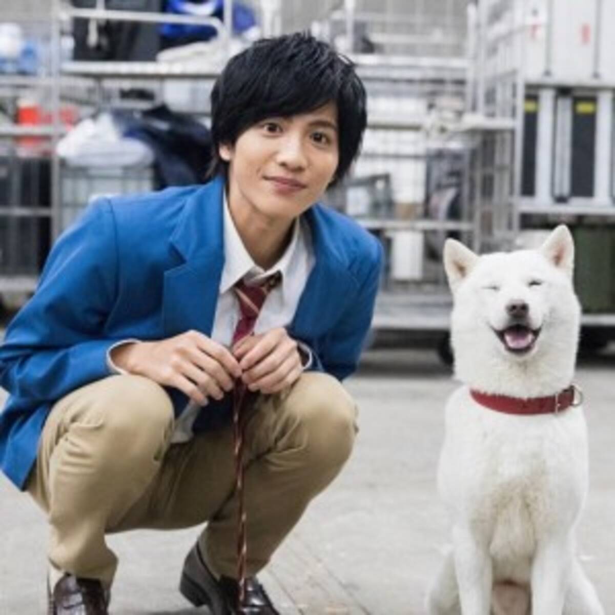 白戸家お父さん 志尊淳の可愛らしさに思わずニンマリ 18年2月2日 エキサイトニュース