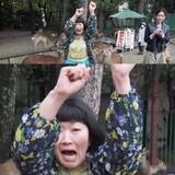 「川村エミコ、奈良の鹿に襲われる　洋服をかじられて恐怖で顔が…」の画像1