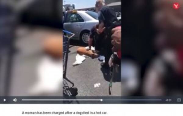 炎天下の車内に放置された犬 警察官が窓を割って救助も命尽きる 米 動画あり 18年7月9日 エキサイトニュース