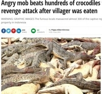 「仲間を食べられた」怒りの住民ら団結　ワニ292頭を殺す（インドネシア）