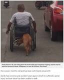 「事故で半身不随になった飼い主の車椅子を押す犬（フィリピン）＜動画あり＞」の画像1