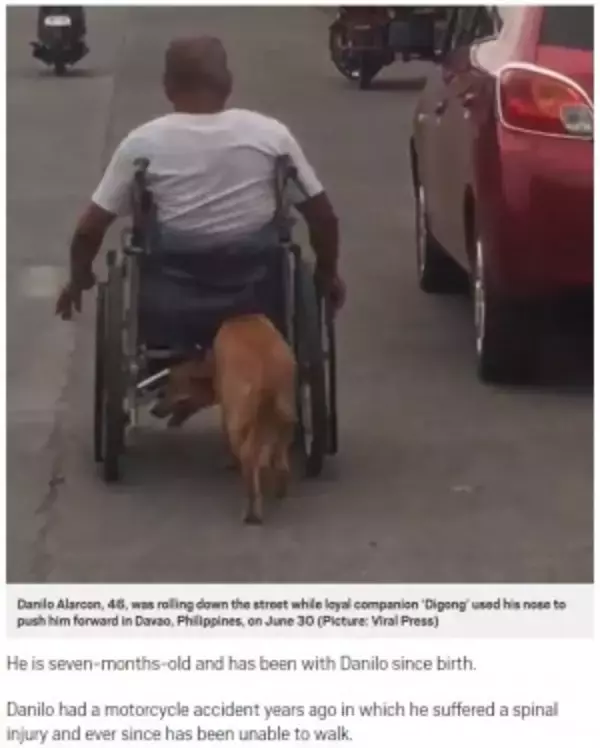 「事故で半身不随になった飼い主の車椅子を押す犬（フィリピン）＜動画あり＞」の画像