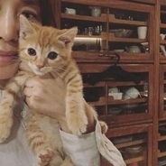 石田ゆり子「猫だらけに危機感」　ペット専用インスタグラムを開設