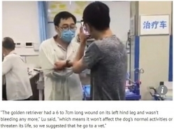 救急病院で愛犬を「診察しろ」と医師に詰め寄った男（中国）＜動画あり＞