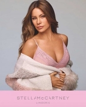 ソフィア・ベルガラ（46）美しすぎる下着姿披露、乳がん啓発コレクションをサポート