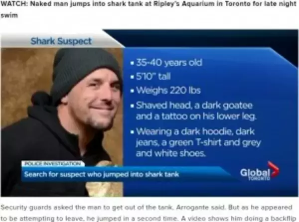 指名手配犯の男、水族館のサメの水槽に飛び込み悠然と泳ぐ（カナダ）＜動画あり＞