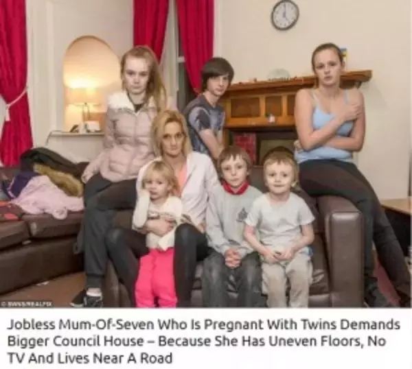「子供7人、双子を妊娠中のシングルマザーが協議会に苦情「もっと広い家を」（英）」の画像