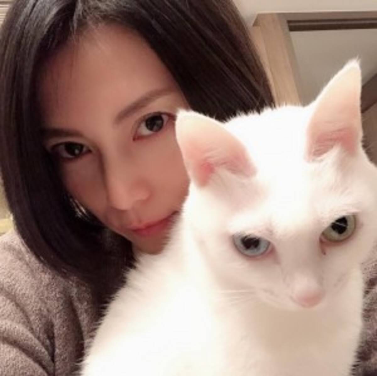 柴咲コウ 愛猫との 目ヂカラ ショットに ホントに美しい ファンため息 18年12月8日 エキサイトニュース