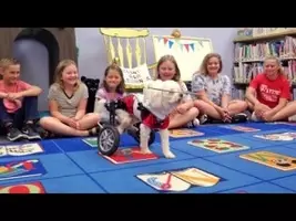 ぬいぐるみを離さない犬や猫たち その理由に思わずホロリ 年12月7日 エキサイトニュース 2 3