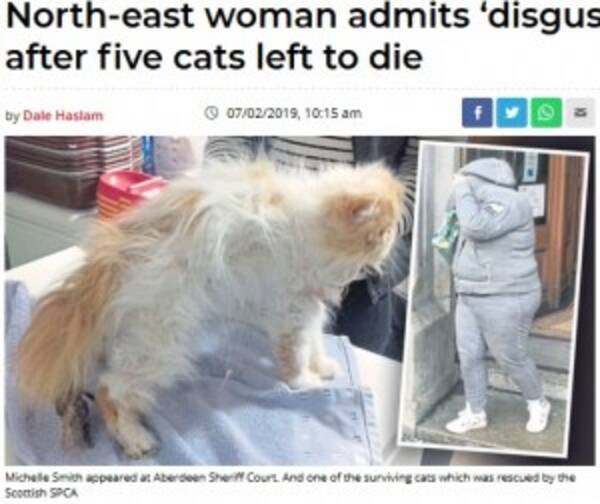 ペットを飼育放棄した女に下された判決に疑問の声 エキサイトニュース