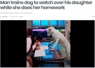 スマホに夢中の少女を宿題に集中するように監視し続ける犬（中国）＜動画あり＞
