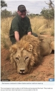 人間の傲慢の極み　娯楽と金のため繁殖・殺されるライオン　「ライオン・ファームビジネス」の残酷さ（南ア）＜動画あり＞