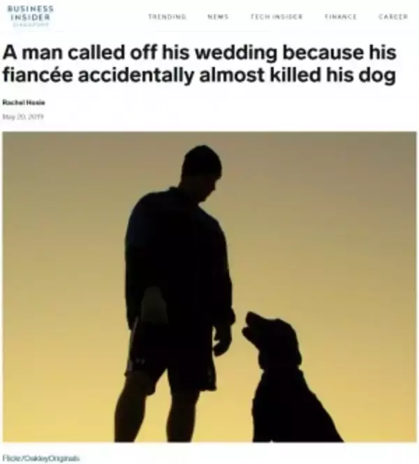 独身最後のパーティーで飼い犬を危険な目に遭わせた女性が婚約を破棄される
