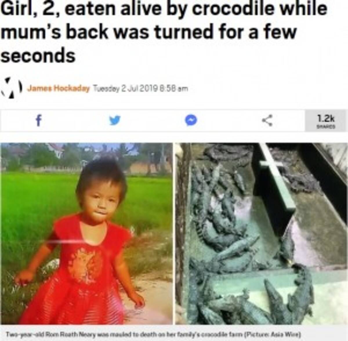 ワニを養殖する一家 2歳娘がワニに襲われ死亡 カンボジア 19年7月7日 エキサイトニュース