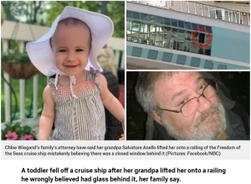 クルーズ船のデッキで祖父が抱き上げた1歳半の孫、誤って窓から転落（米）
