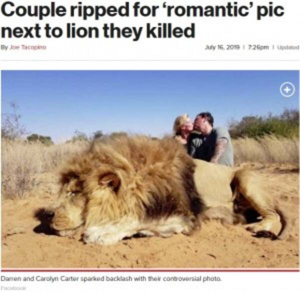 射殺したライオンのそばでキス 非難殺到も夫妻は 飼育された動物を殺して何が悪い 南ア 19年7月19日 エキサイトニュース