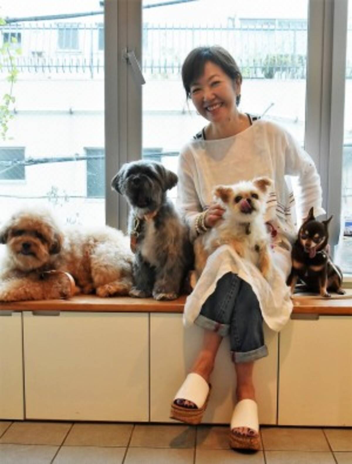 浅田美代子インタビュー 里親になること もっと普通に 4匹と暮らし 保護犬はいいよと伝えたい 19年8月30日 エキサイトニュース