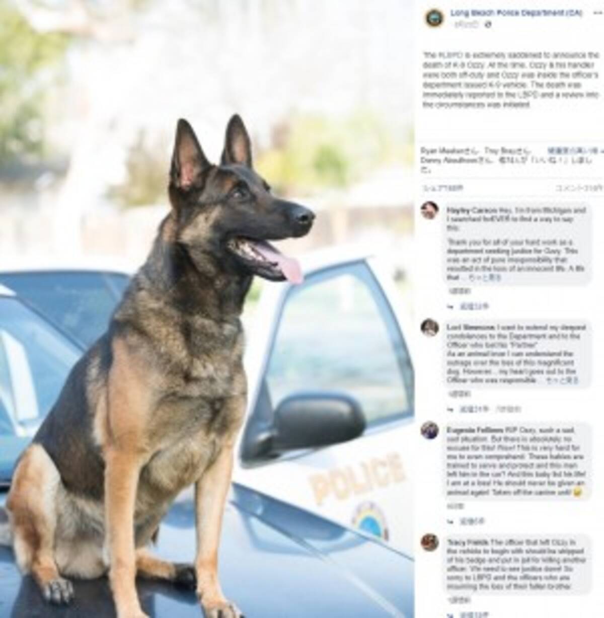 40度超のパトカー車内で警察犬が死亡 警察facebookに批判殺到 米 19年9月2日 エキサイトニュース