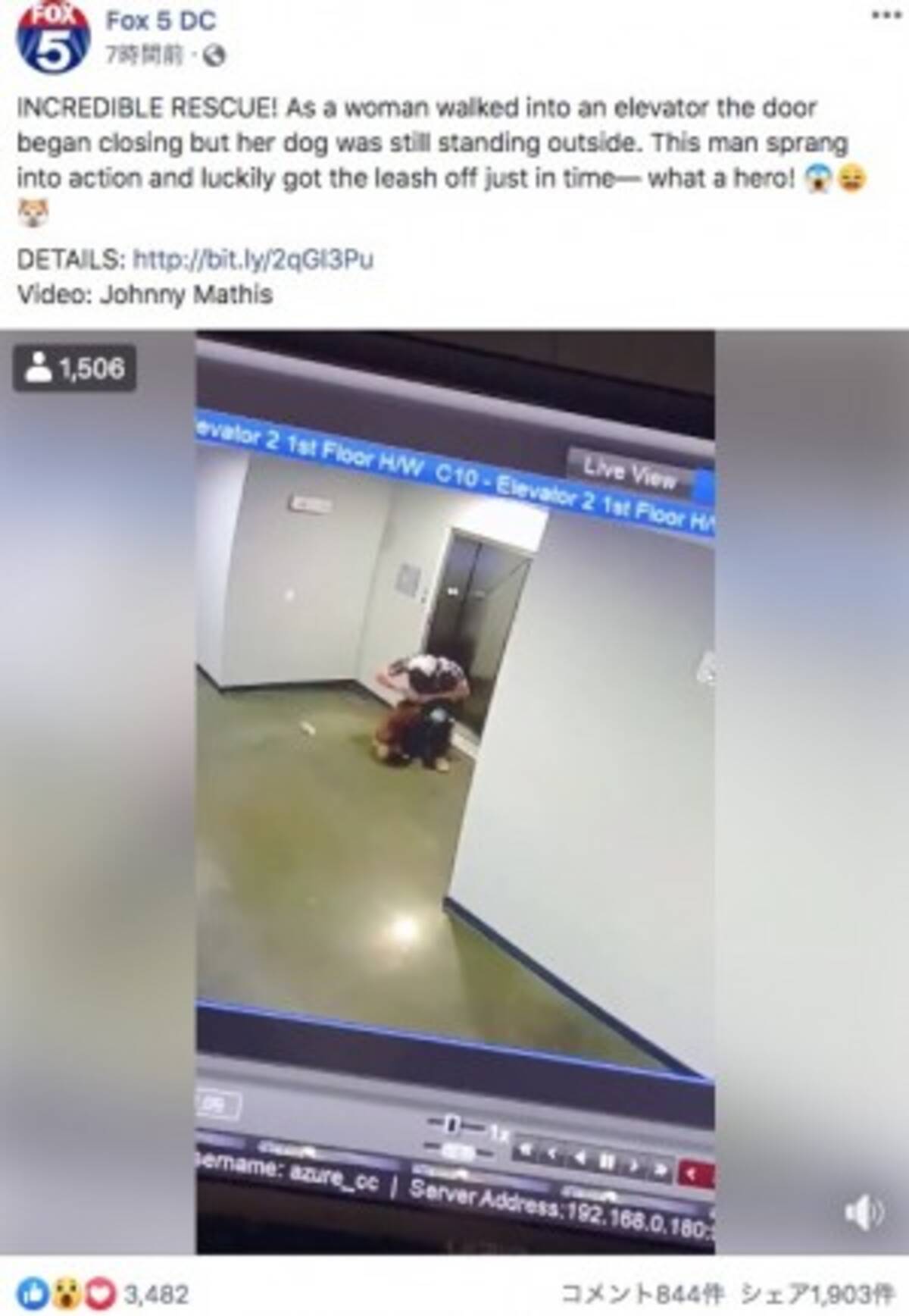 エレベーターで宙吊り寸前の犬を救った男性 無我夢中だった 米 動画あり 19年12月14日 エキサイトニュース