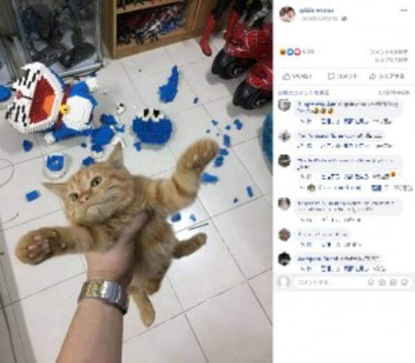 1週間かけて完成したブロックの ドラえもん 一瞬でバラバラにした子猫が人気 タイ 年1月5日 エキサイトニュース