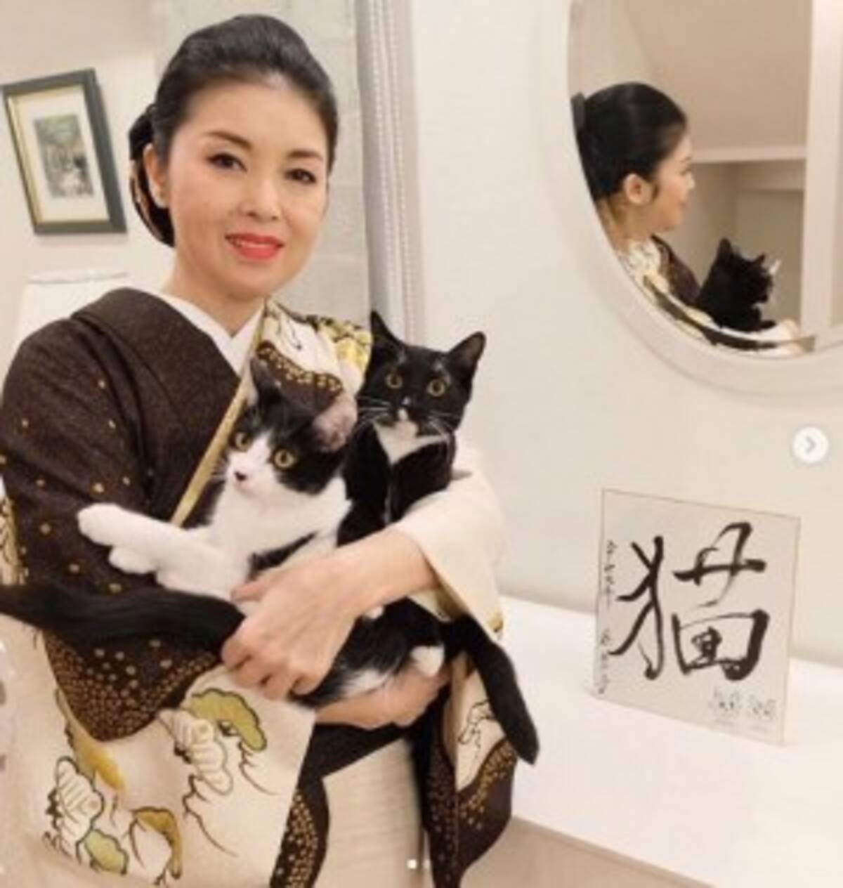 藤あや子 猫愛 溢れすぎて令和2年2月2日を スーパー猫の日 に 年2月3日 エキサイトニュース