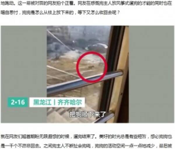 新型肺炎で自宅隔離された住民、2階窓から飼い犬を吊るして散歩（中国）＜動画あり＞ (2020年2月20日) エキサイトニュース