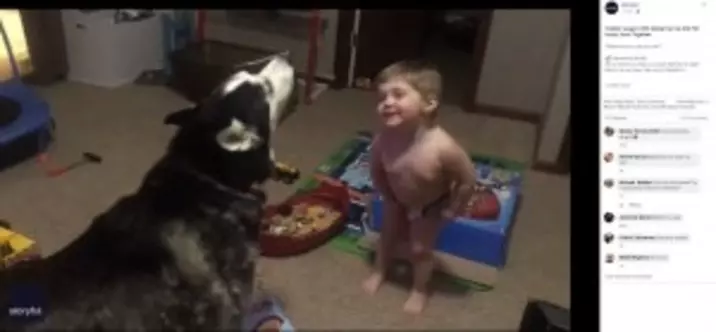 誰もいないのに怯えて吠える犬 首輪も外され 霊の仕業 と飼い主 米 動画あり 21年10月22日 エキサイトニュース