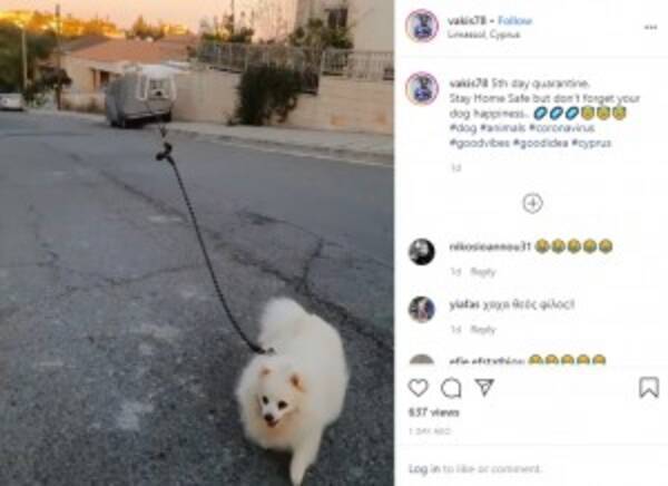 封鎖された都市で犬の散歩をドローンに任せた飼い主 キプロス 動画あり 年3月21日 エキサイトニュース