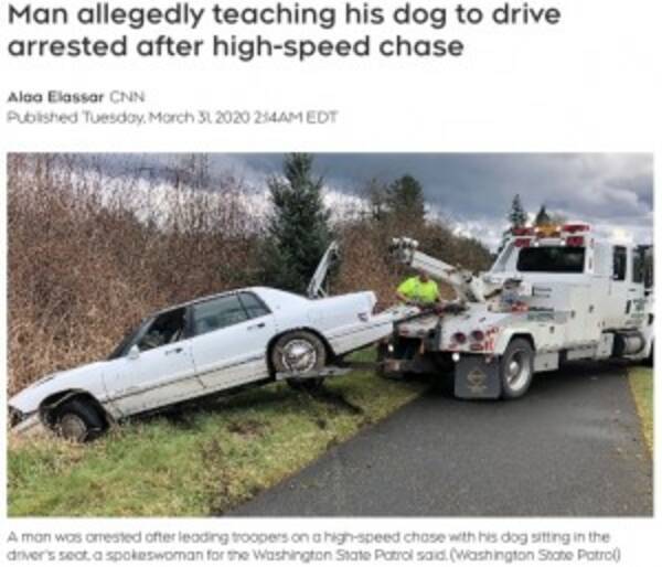 犬に運転を教えてた 高速道路で車2台に追突した危険運転の男が逮捕 米 年4月4日 エキサイトニュース