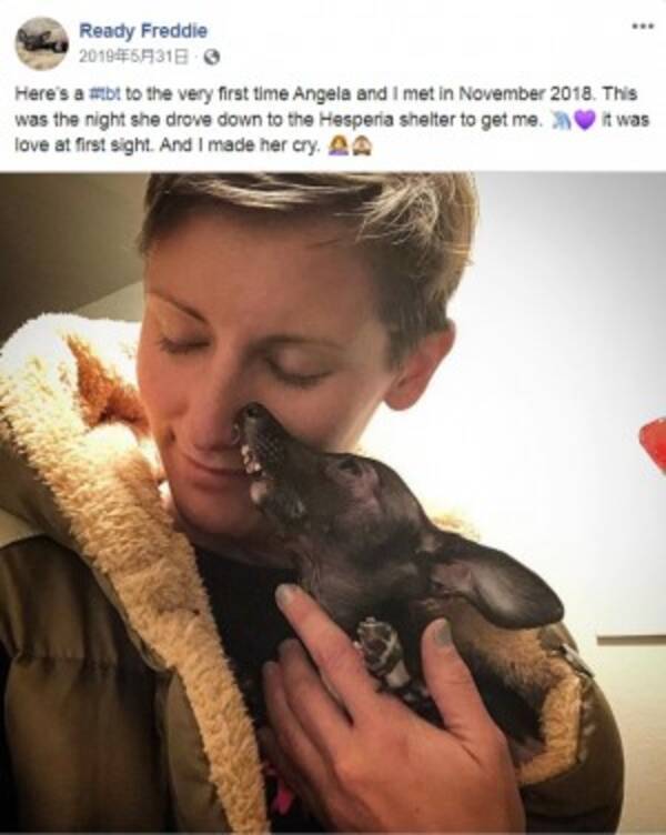 保護した女性も涙 重度の奇形と障がいを持つ犬 愛情受けて幸せに 米 動画あり 年5月13日 エキサイトニュース